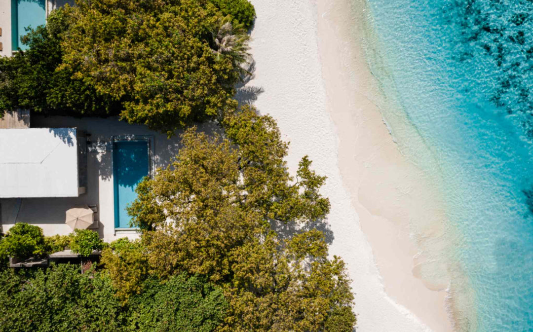 A Beach Pool Villa at Amilla Maldives from directly above, its long pool set among trees beside the beach