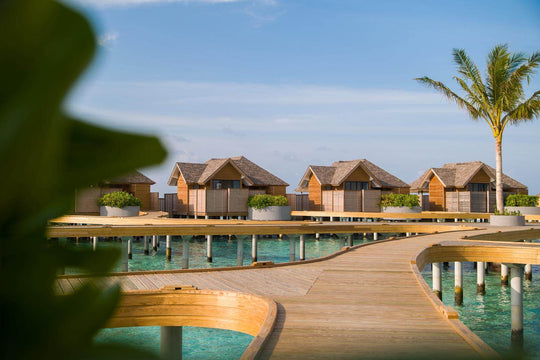 Overwater villas at ananea Madivaru Maldives along their walkway, seen past a palm frond