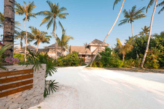 Thatched buildings at ananea Madivaru Maldives behind the beach, palms and flowering shrubs around them
