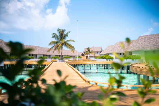 Overwater villas at ananea Madivaru Maldives seen from the beach through palm fronds, a timber jetty running out to them