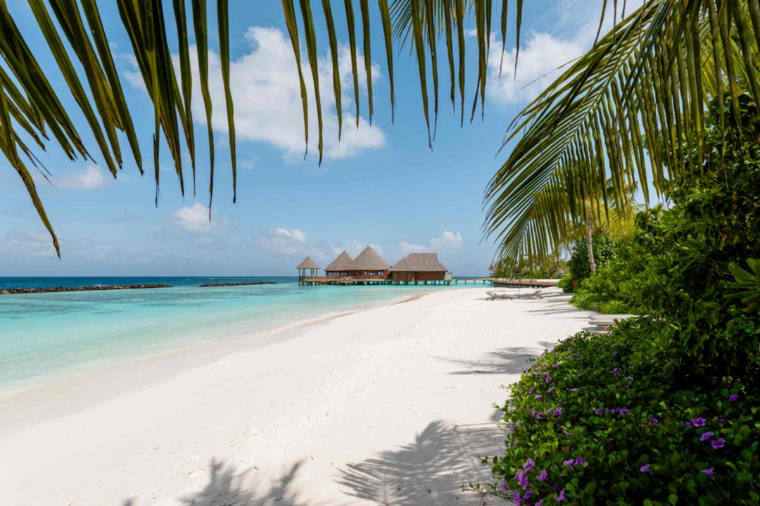 The beach at ananea Madivaru Maldives framed by palm fronds, the overwater restaurant in the distance