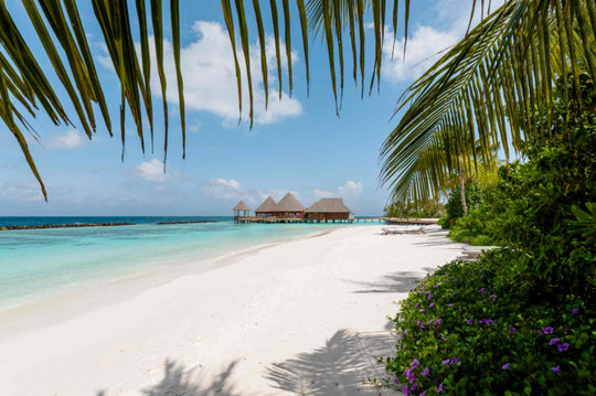 The beach at ananea Madivaru Maldives framed by palm fronds, the overwater restaurant in the distance