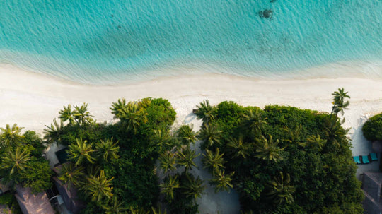 The beach and palm trees at Ayada Maldives from the air, sand meeting shallow turquoise water