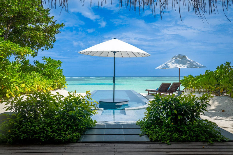 A villa plunge pool at LUX* South Ari Atoll between green shrubs, parasol and loungers beyond.
