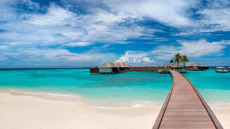 The Overwater Escape villas at W Maldives