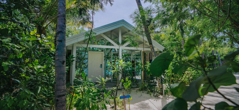 A Veyoge Gallery Pool Villa at Oaga Art Resort, a small villa among palms and tropical garden