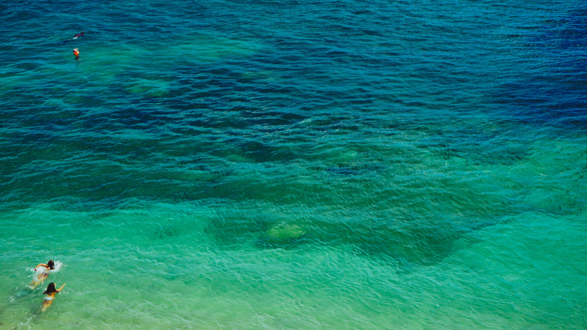 Swimmers in clear turquoise water over a Maldivian reef, seen from above.