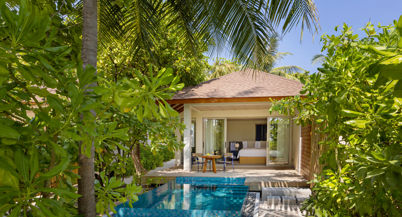 A Beach Pool Villa at Avani+ Fares Maldives, single storey with its plunge pool in the garden.