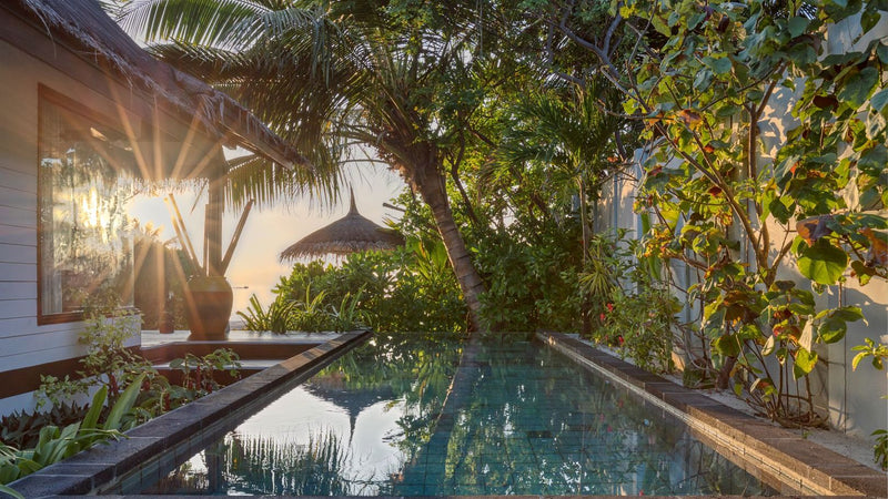The private pool of an Earth Villa with Pool at OZEN LIFE Maadhoo at sunset, low light through the palms on the water