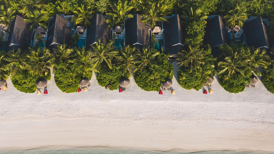 The beach villas at OZEN LIFE Maadhoo from the air, a line of thatched roofs behind the palms with loungers on the sand