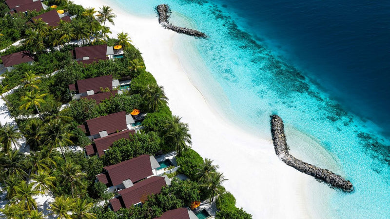 OBLU SELECT Lobigili, North Malé Atoll: the SunNest Beach Pool Villas among the palms, from the air