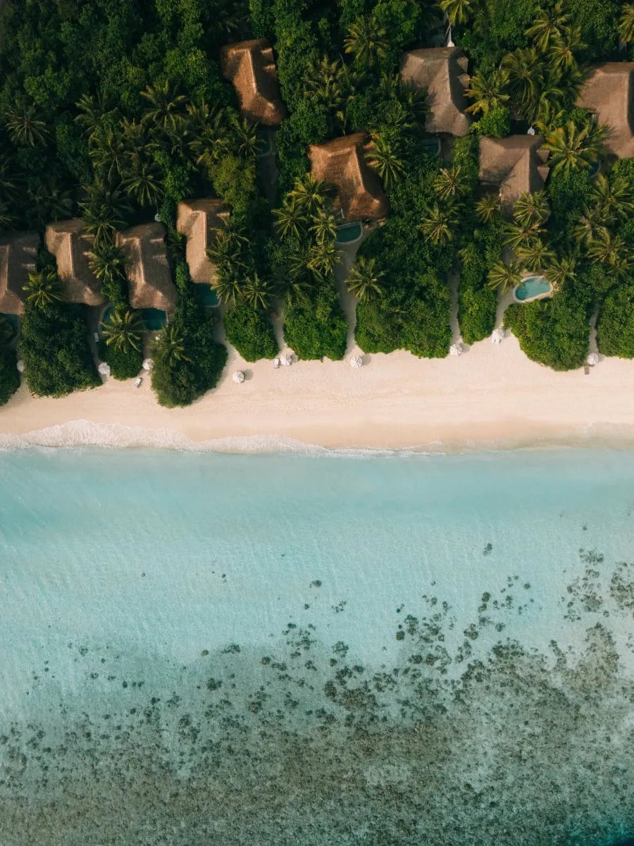 Soneva Fushi from above, thick jungle running down to a white beach and turquoise water