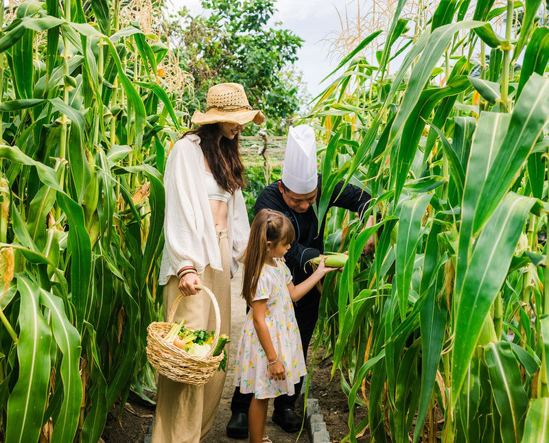 RAAYA by Atmosphere, Raa Atoll: a chef picking corn with a mother and daughter at the island farm