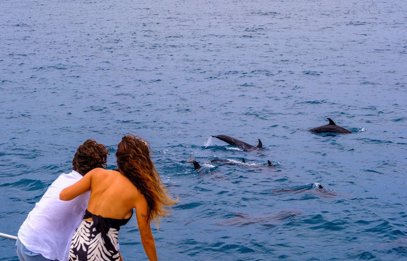 RAAYA by Atmosphere, Raa Atoll: a couple on a boat watching dolphins