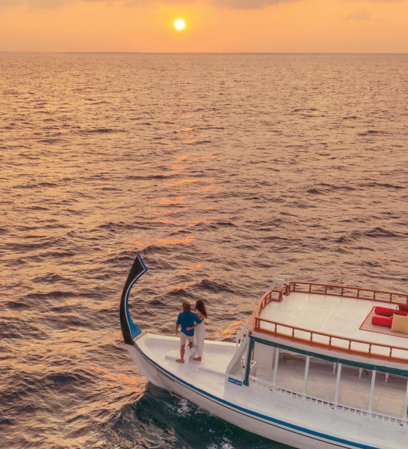 OBLU SELECT Lobigili, North Malé Atoll: dolphins beside a boat at sunset
