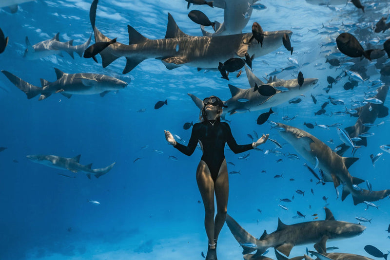 A diver among reef sharks at RAH GILI Maldives.