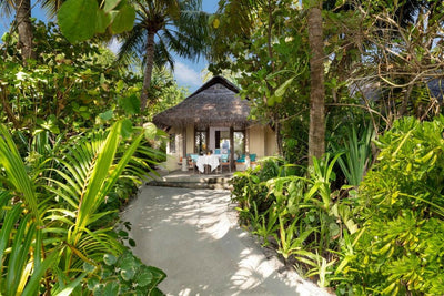 The sand path through dense planting to a Sunrise Beach Villa at Anantara Dhigu