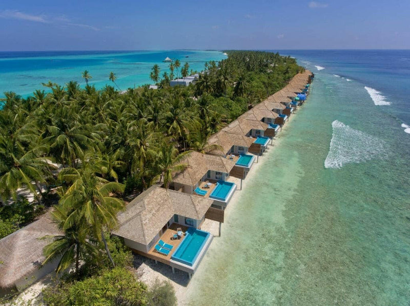 Kandima Maldives from the air, a long line of loungers under the palms beside breaking surf.