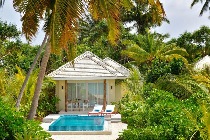 A shingle-roofed villa at Kandima Maldives, pool and two loungers enclosed by thick palms.